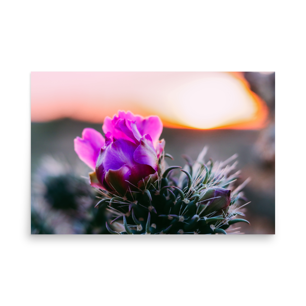 enhanced-matte-paper-poster-(in)-24x36-front-65df606506342.png