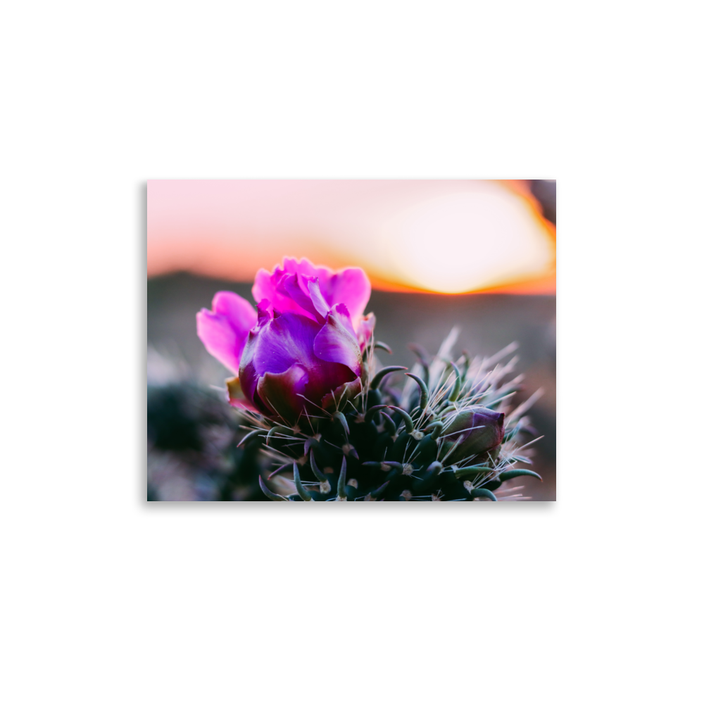 enhanced-matte-paper-poster-(in)-11x14-front-65df606507787.png