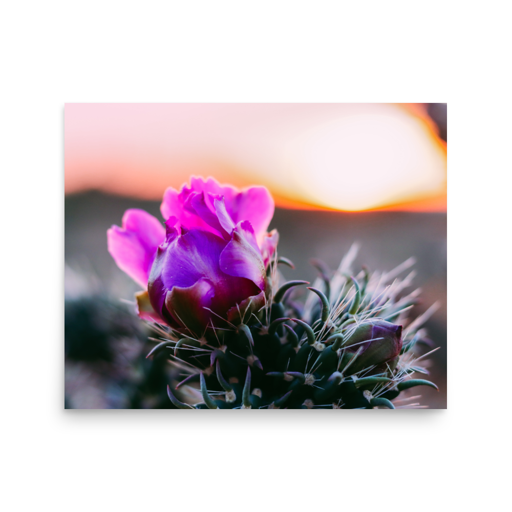 enhanced-matte-paper-poster-(in)-16x20-front-65df60650788a.png