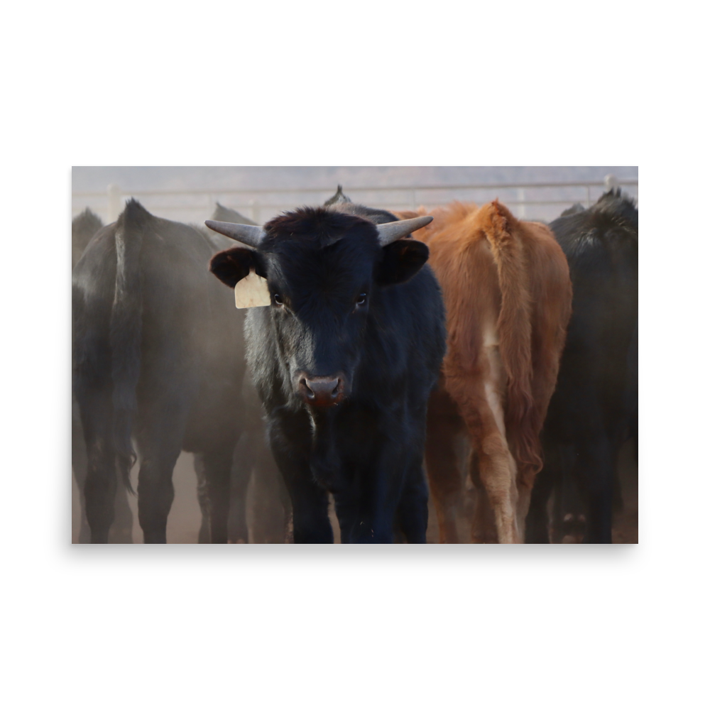 enhanced-matte-paper-poster-(in)-24x36-front-65df60f19aadc.png