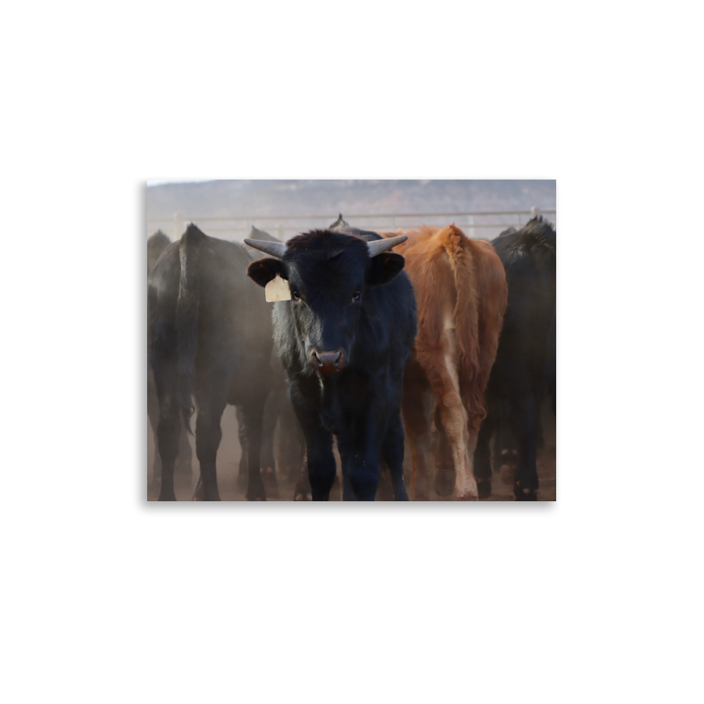 enhanced-matte-paper-poster-(in)-11x14-front-65df60f19ccb6.png