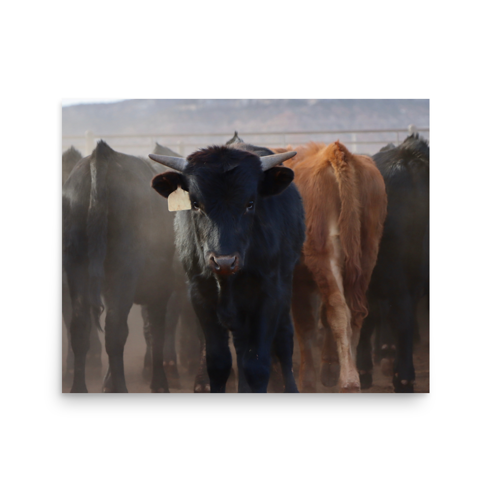 enhanced-matte-paper-poster-(in)-16x20-front-65df60f19cdb3.png