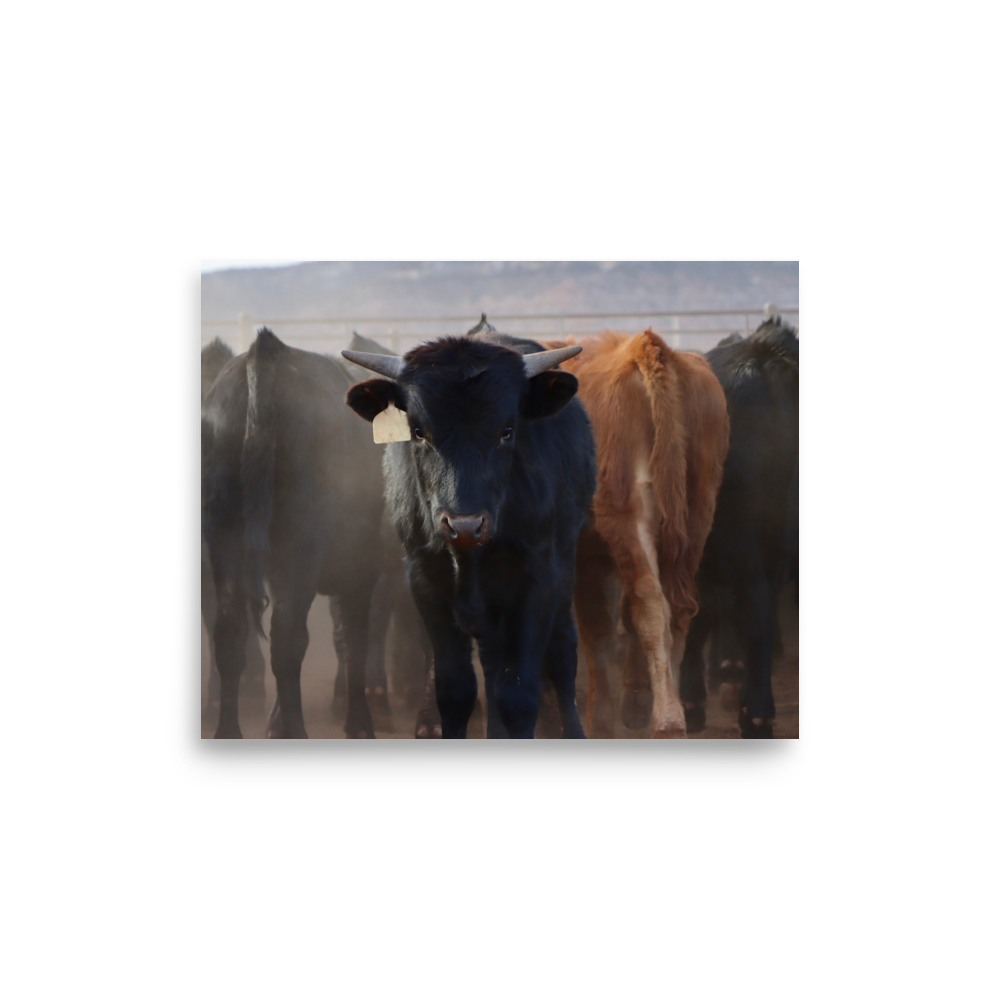 enhanced-matte-paper-poster-(in)-8x10-front-65df60f19cf06.png