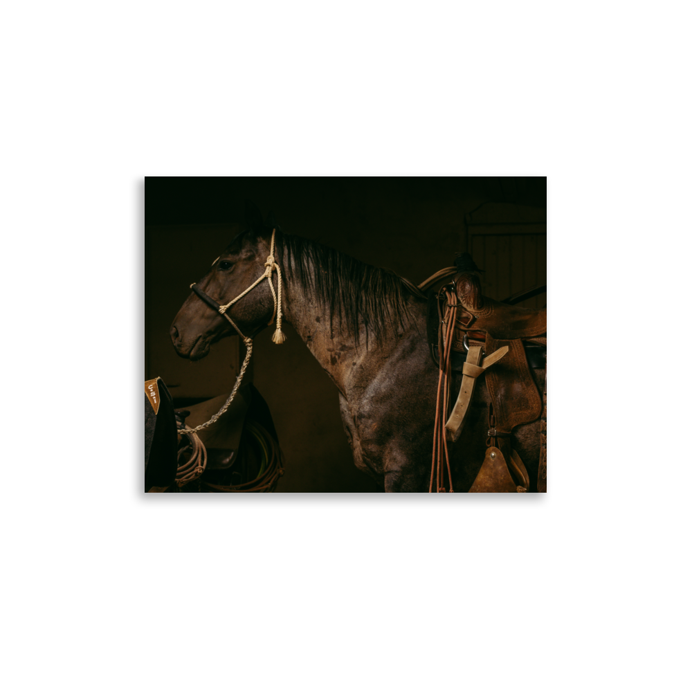 enhanced-matte-paper-poster-(in)-11x14-front-65df956ed882d.png