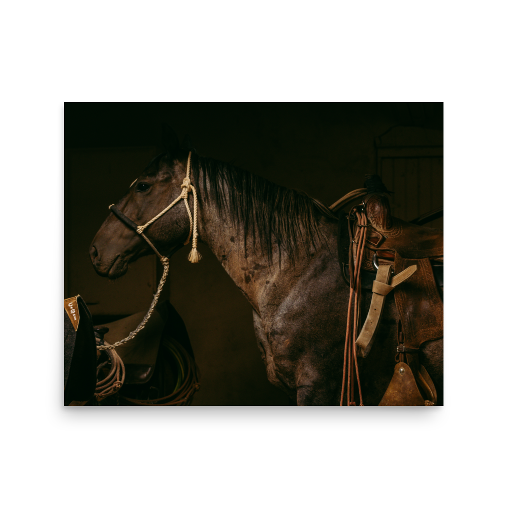 enhanced-matte-paper-poster-(in)-16x20-front-65df956ed8927.png