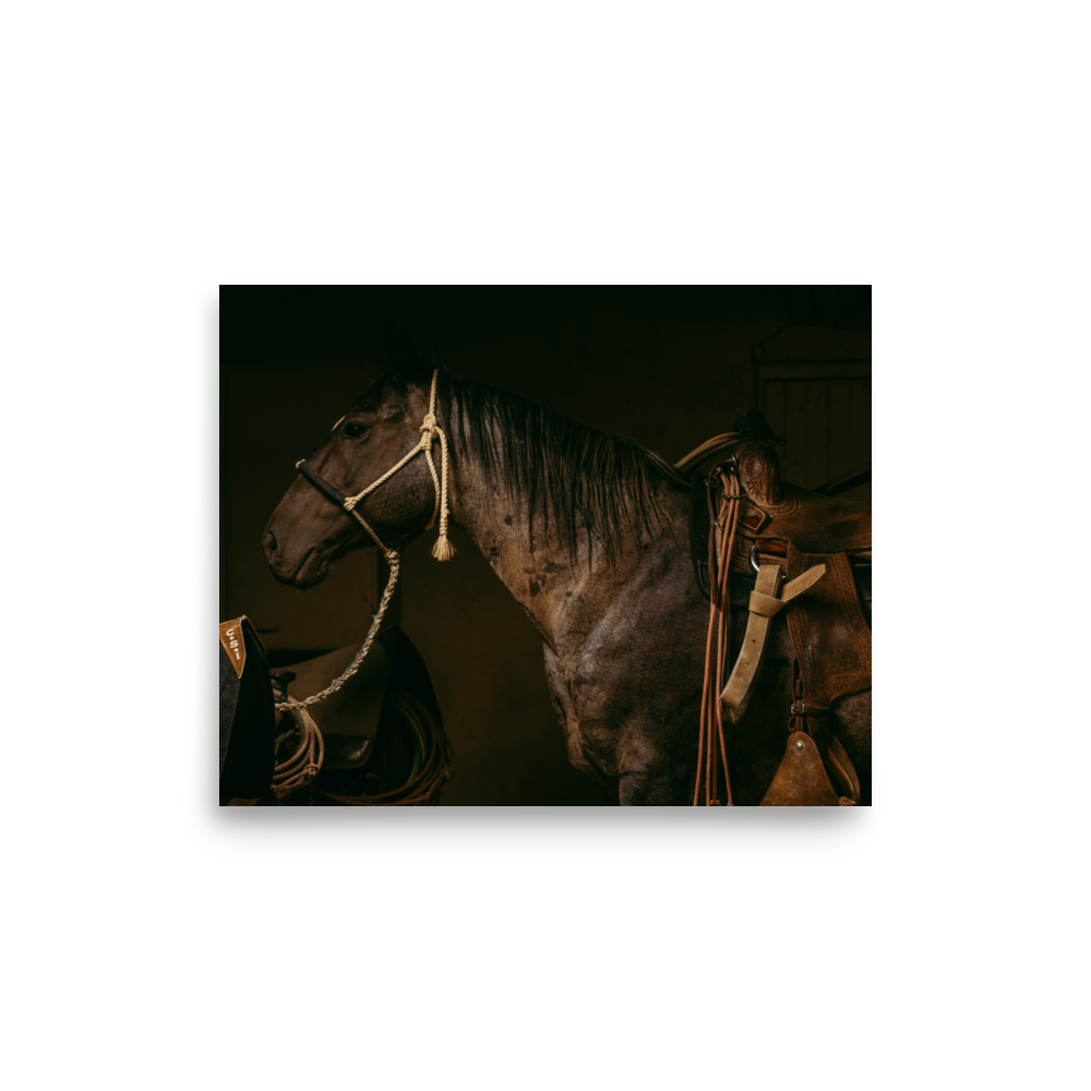 enhanced-matte-paper-poster-(in)-8x10-front-65df956ed8a5b.png