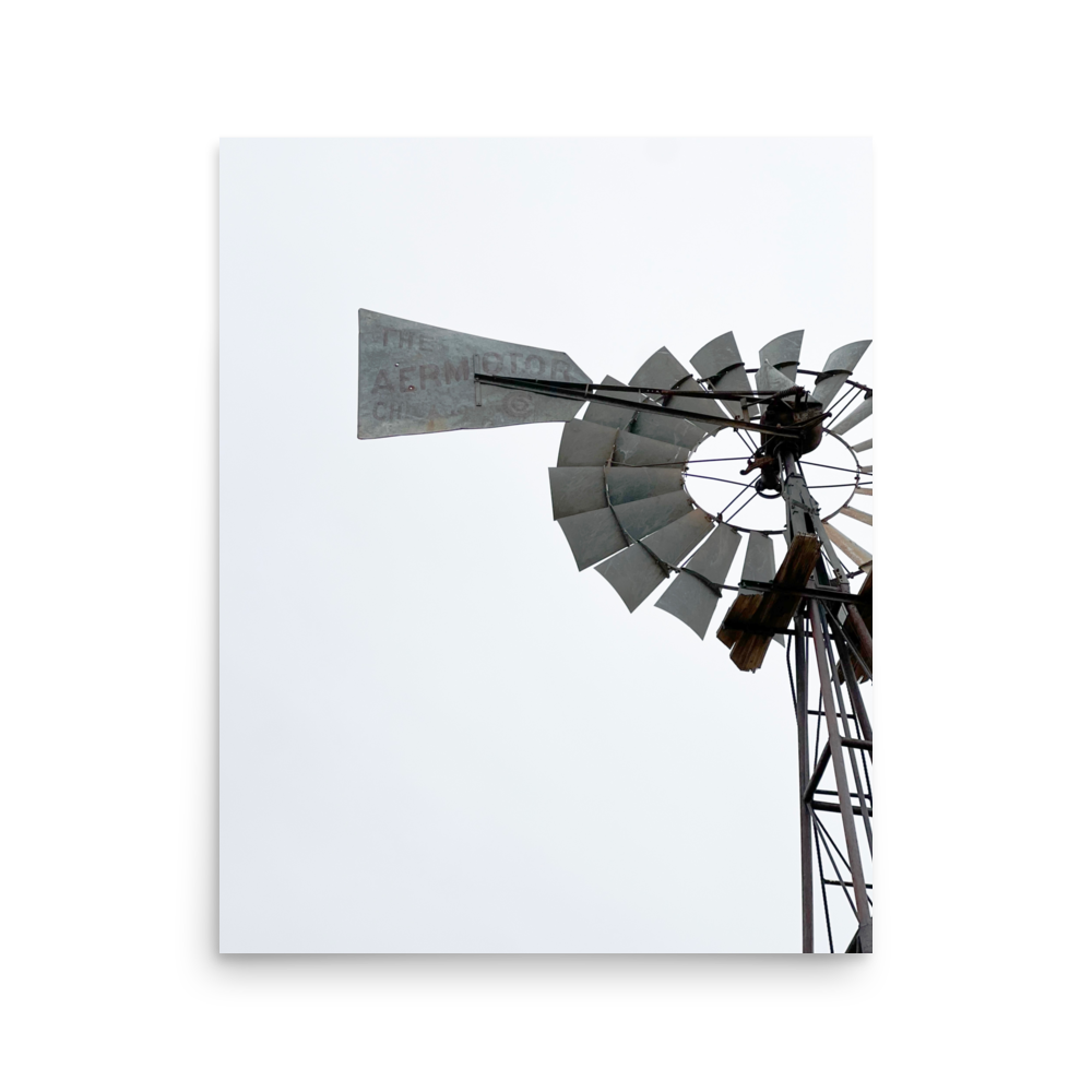 enhanced-matte-paper-poster-(in)-16x20-front-65df965899e60.png