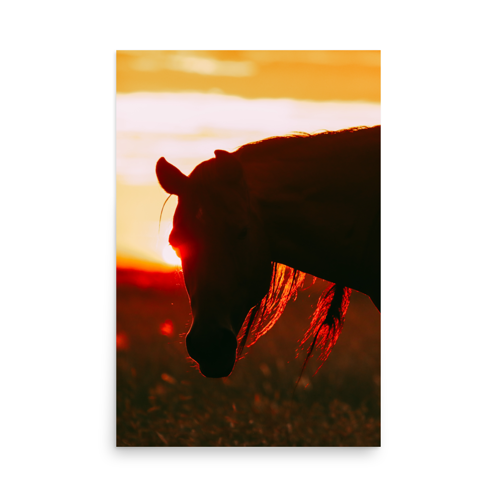enhanced-matte-paper-poster-(in)-24x36-front-65df969eb4156.png