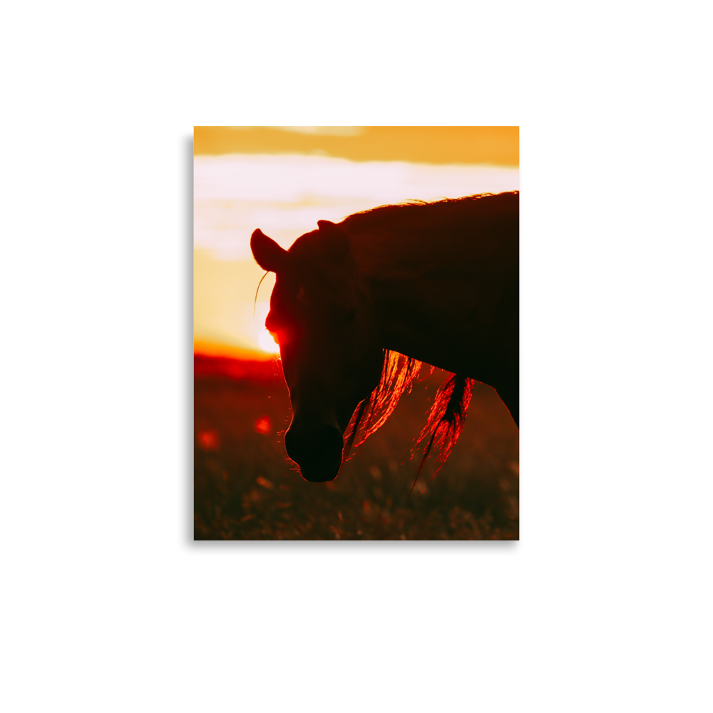enhanced-matte-paper-poster-(in)-11x14-front-65df969eb4d81.png
