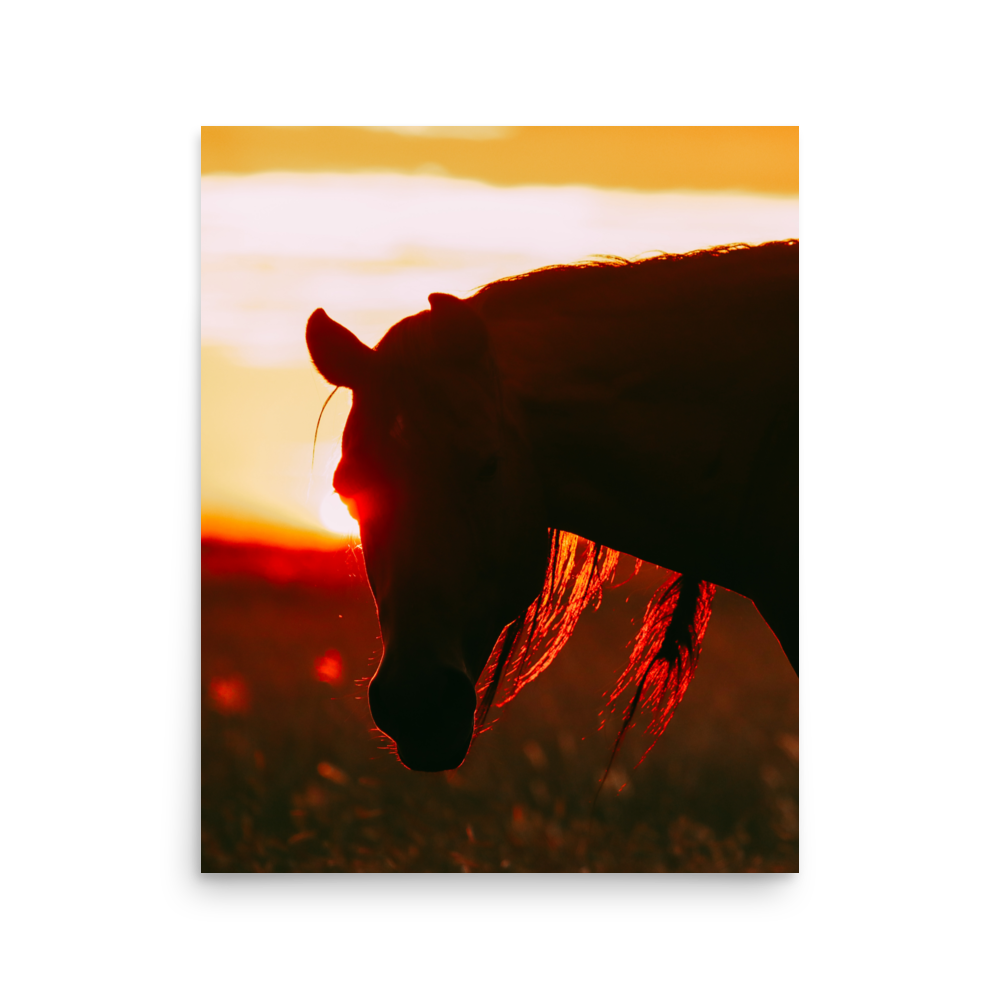 enhanced-matte-paper-poster-(in)-16x20-front-65df969eb4e10.png