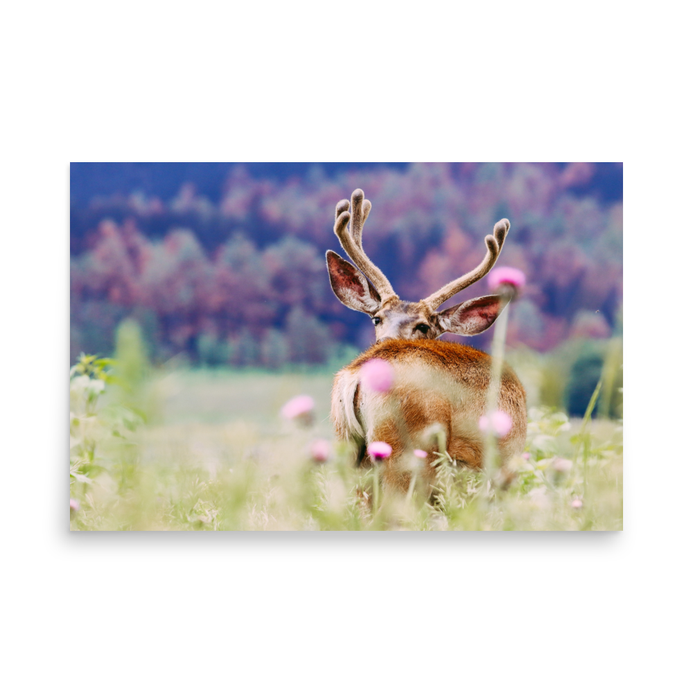 enhanced-matte-paper-poster-(in)-24x36-front-65df970036d40.png