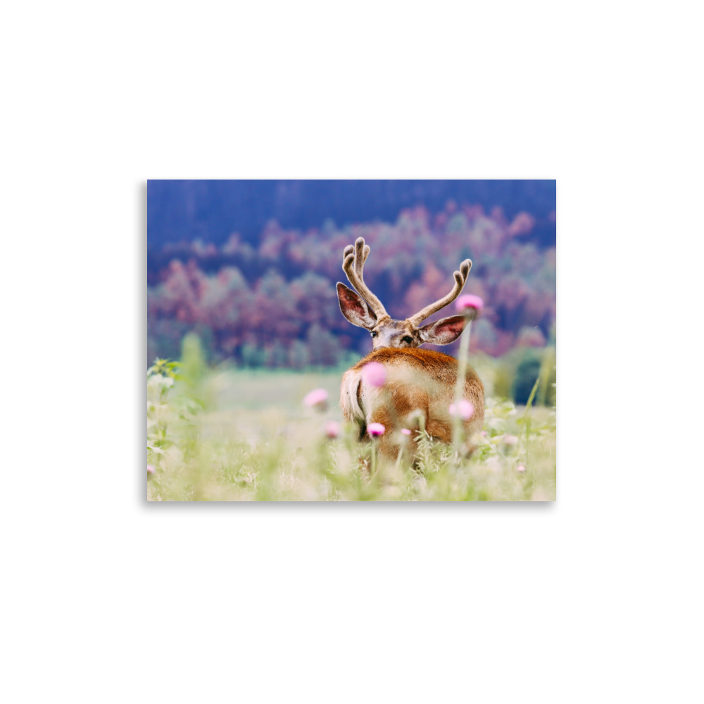 enhanced-matte-paper-poster-(in)-11x14-front-65df970037a59.png