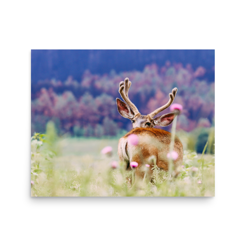 enhanced-matte-paper-poster-(in)-16x20-front-65df970037b3b.png