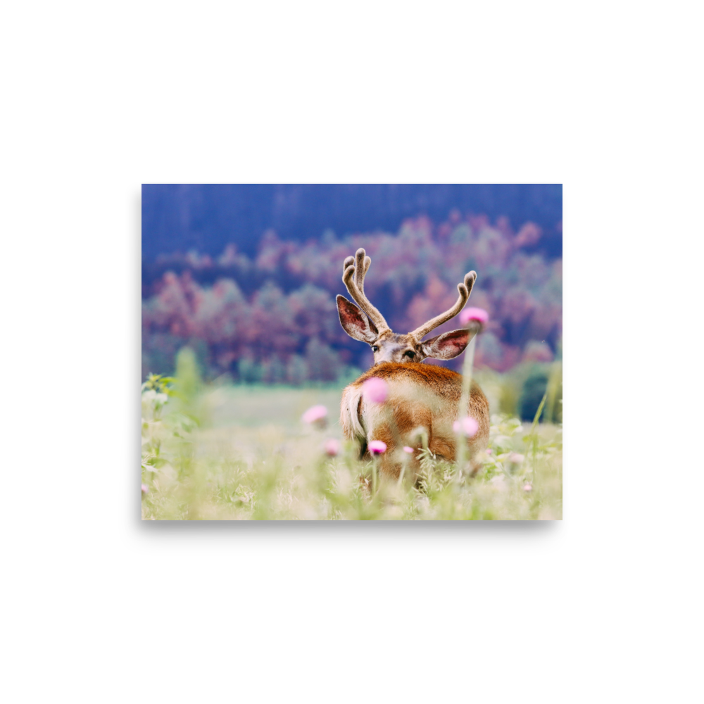 enhanced-matte-paper-poster-(in)-8x10-front-65df970037c2c.png