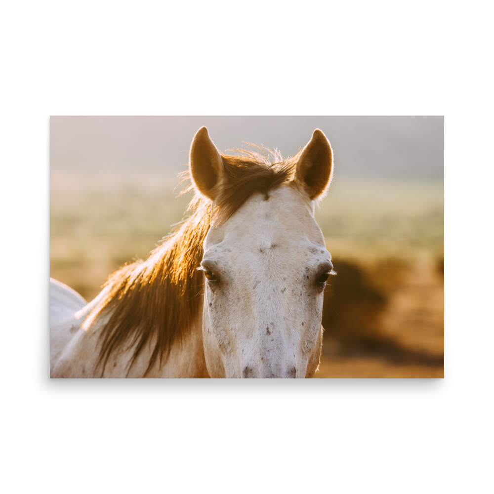 enhanced-matte-paper-poster-(in)-24x36-front-65df97caddb93.png
