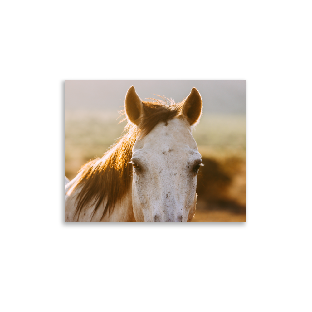 enhanced-matte-paper-poster-(in)-11x14-front-65df97cade983.png