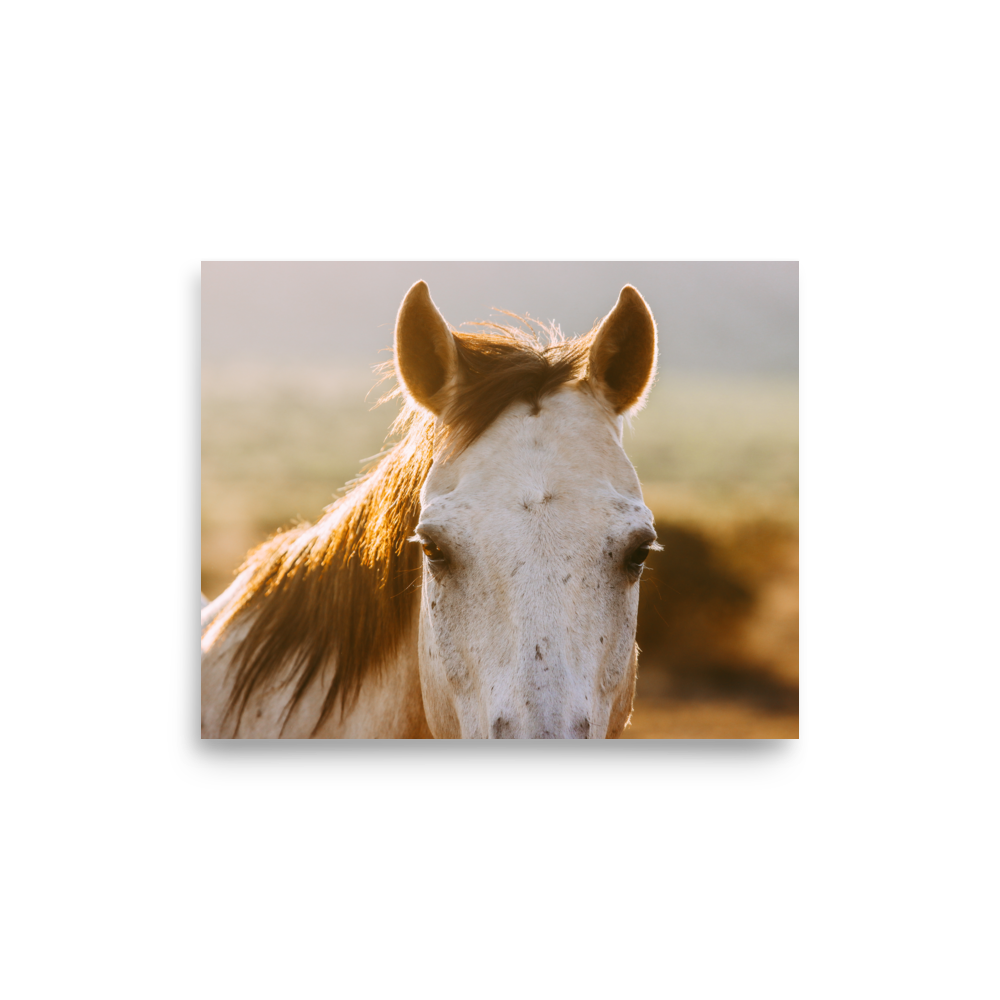 enhanced-matte-paper-poster-(in)-8x10-front-65df97cadead0.png