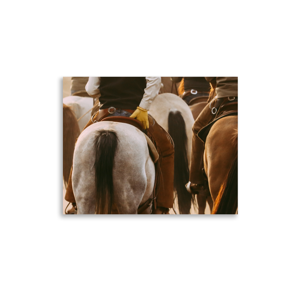 enhanced-matte-paper-poster-(in)-11x14-front-65df992e96874.png
