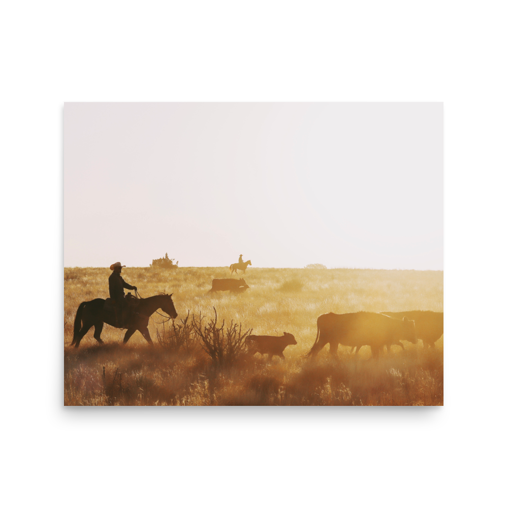 enhanced-matte-paper-poster-(in)-16x20-front-65df9a6ca99c8.png