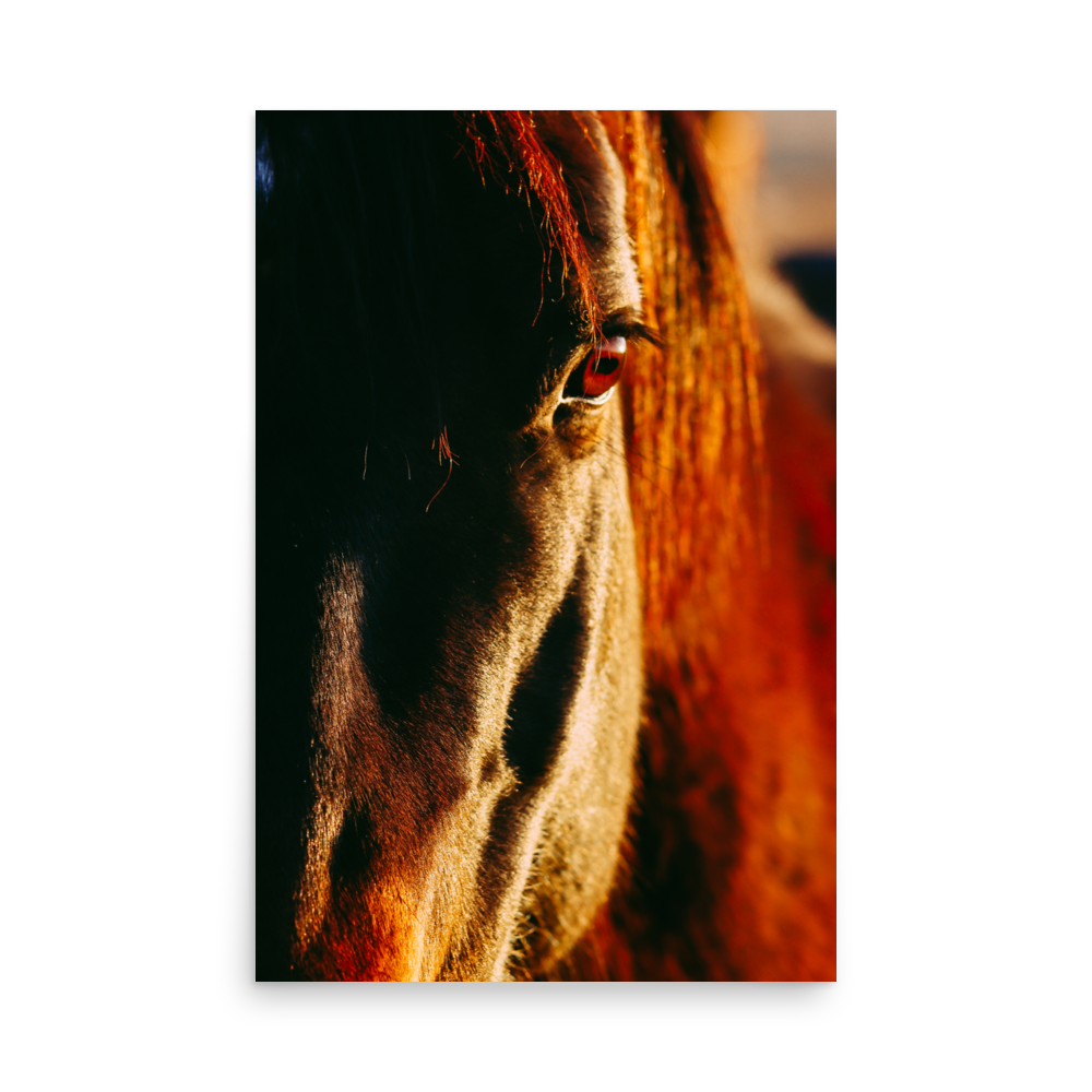 enhanced-matte-paper-poster-(in)-24x36-front-65df9bcabc334.png