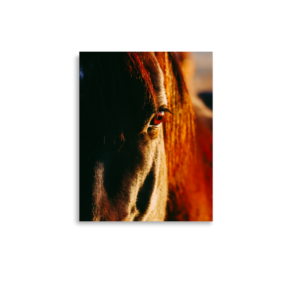 enhanced-matte-paper-poster-(in)-11x14-front-65df9bcabcf24.png