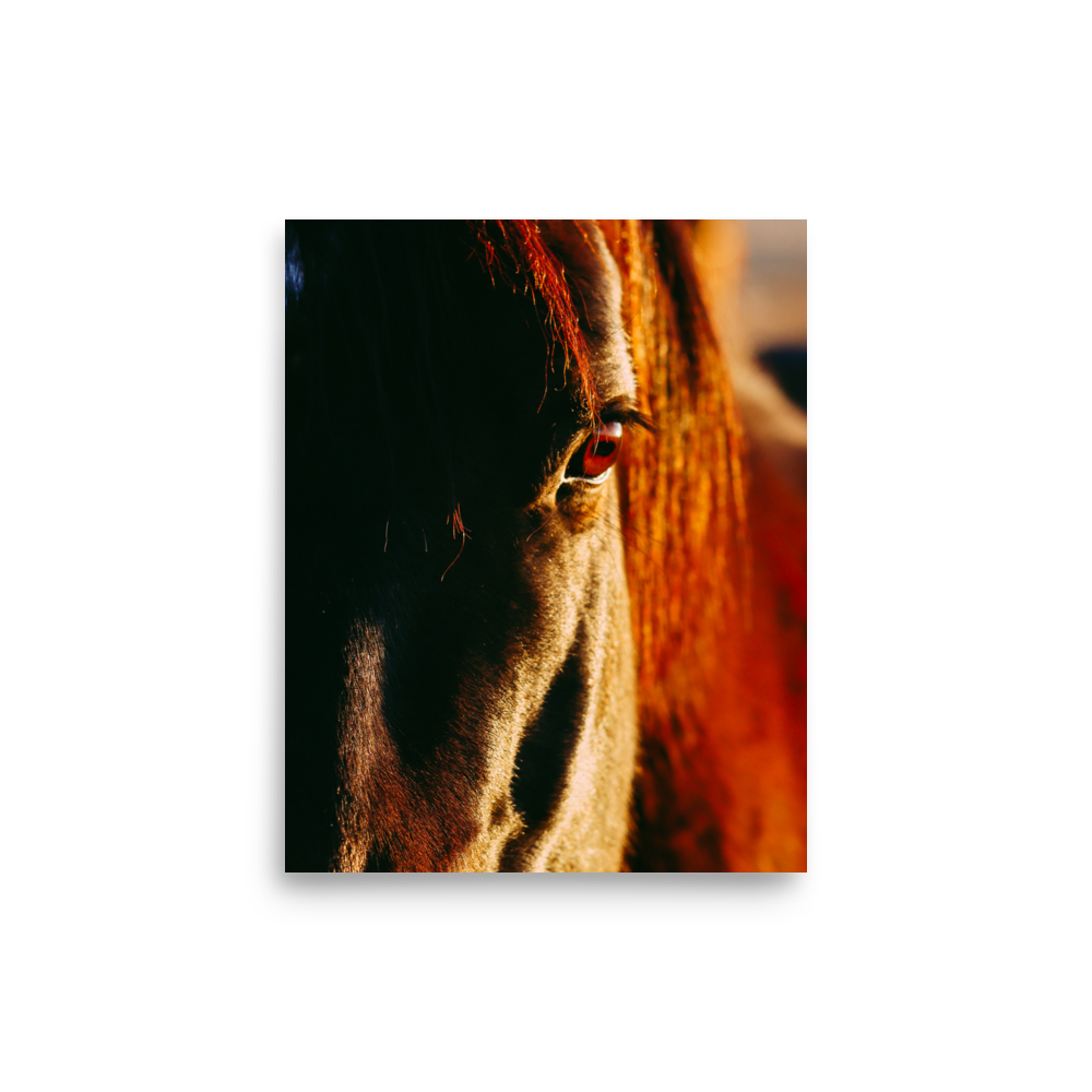 enhanced-matte-paper-poster-(in)-8x10-front-65df9bcabd088.png