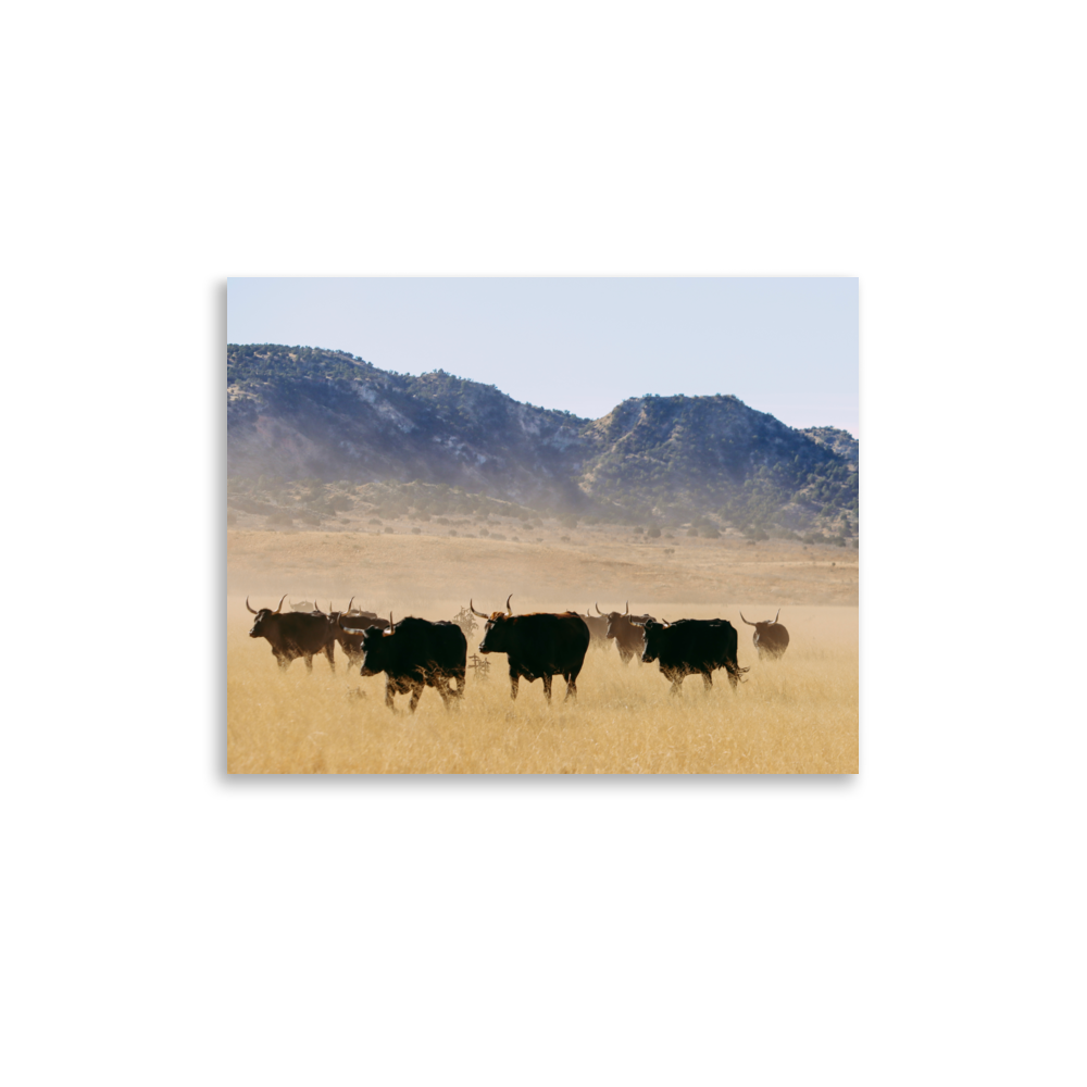 enhanced-matte-paper-poster-(in)-11x14-front-65df9c30dc657.png