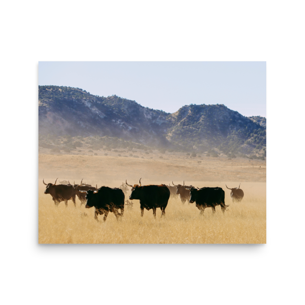 enhanced-matte-paper-poster-(in)-16x20-front-65df9c30dc710.png