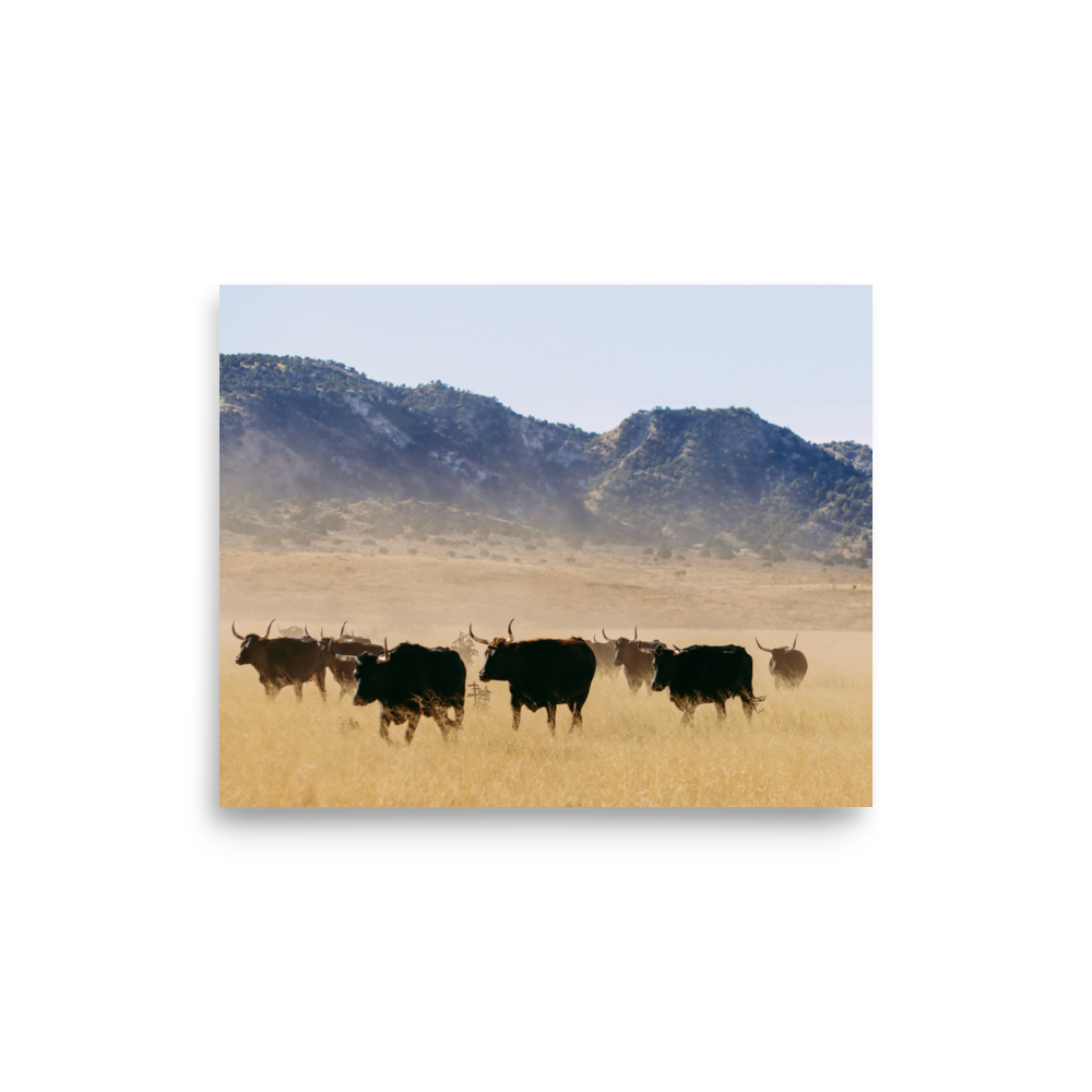 enhanced-matte-paper-poster-(in)-8x10-front-65df9c30dc7e0.png