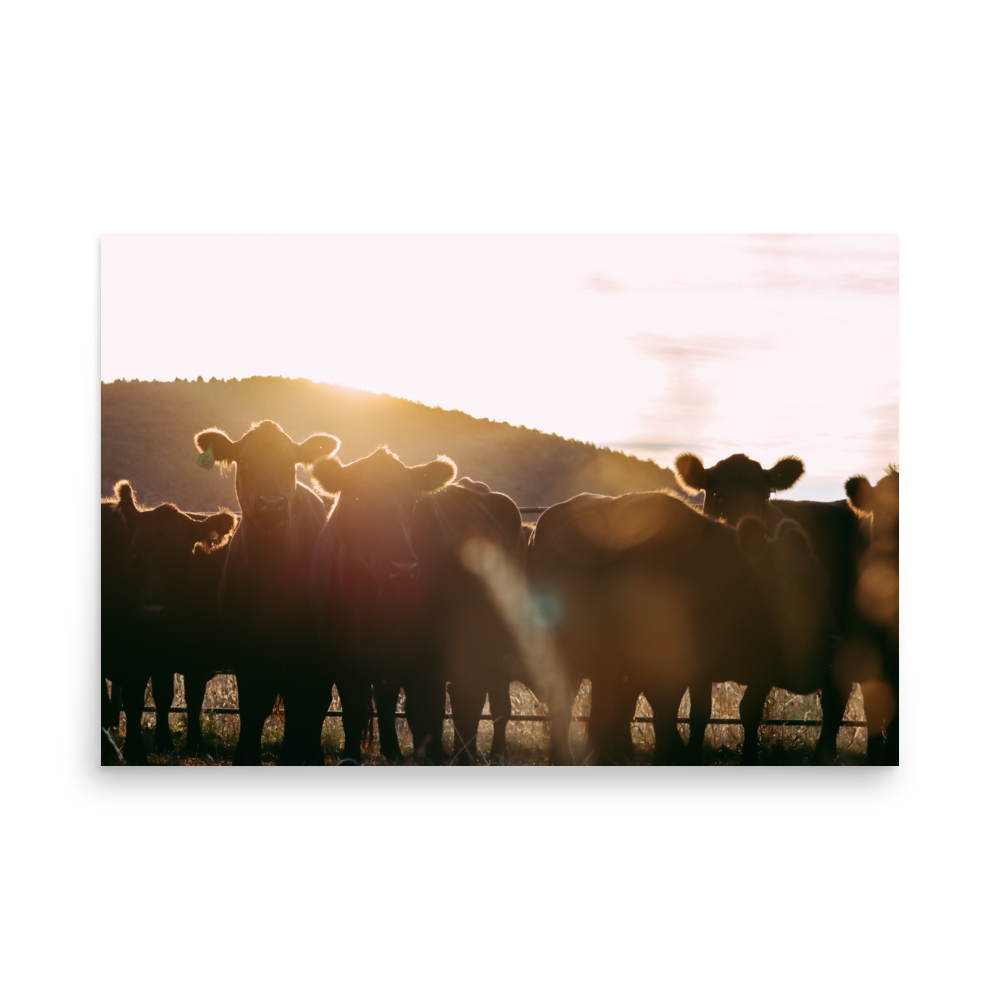 enhanced-matte-paper-poster-(in)-24x36-front-65df9c8222e12.png