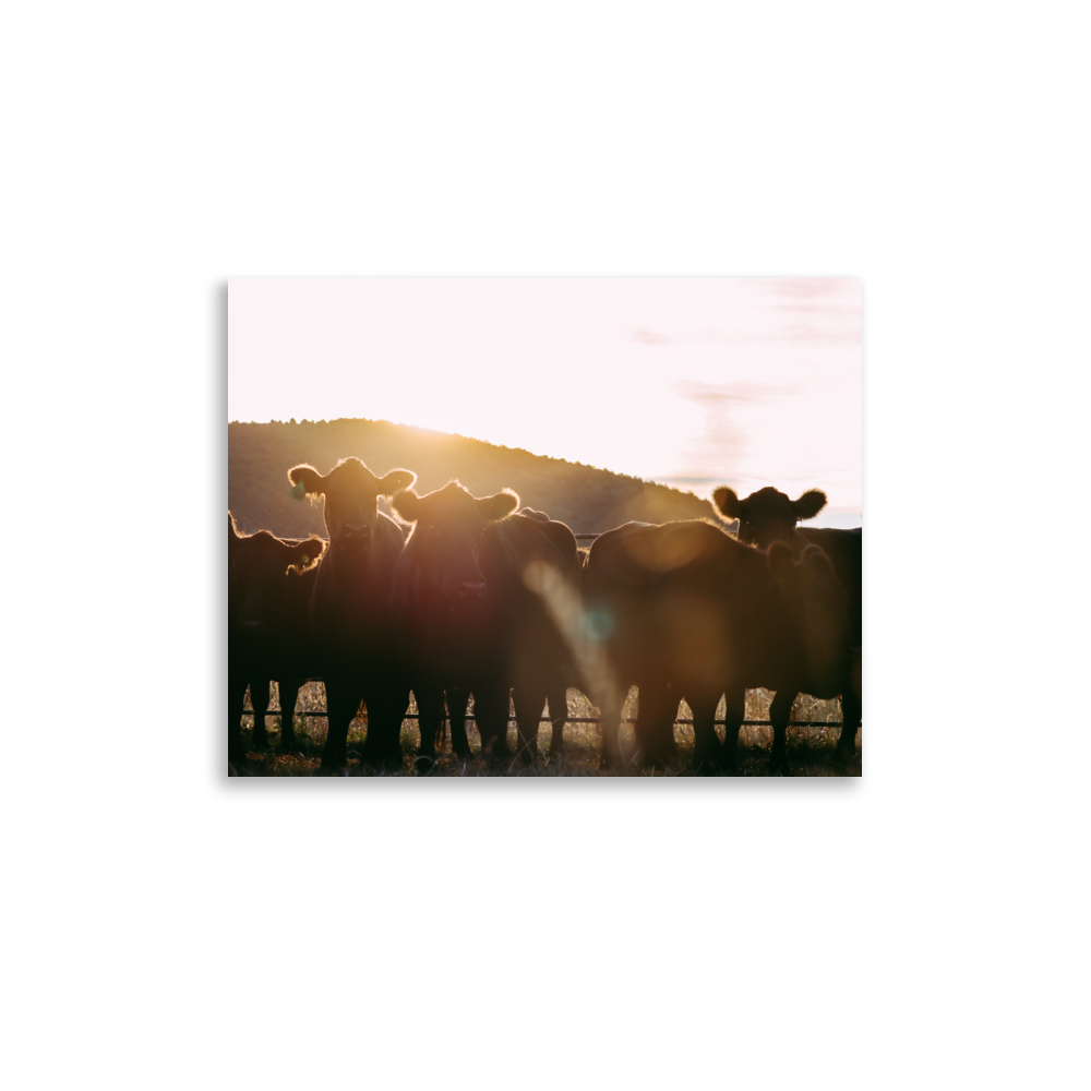 enhanced-matte-paper-poster-(in)-11x14-front-65df9c8223f7e.png