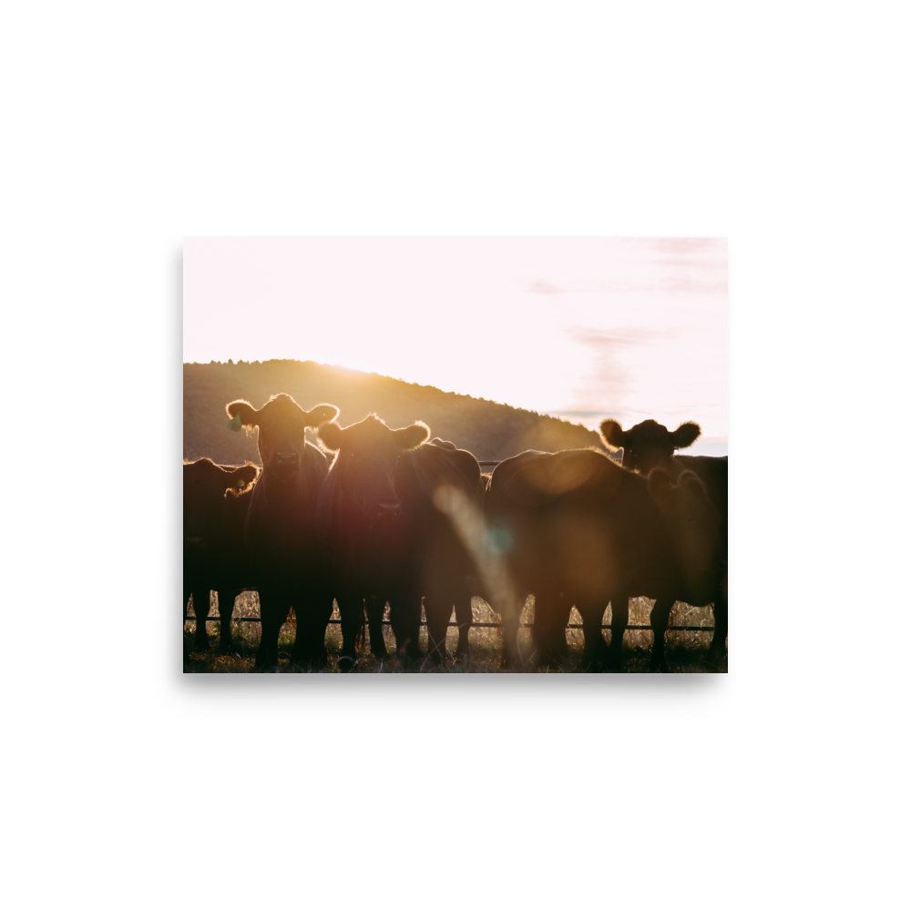 enhanced-matte-paper-poster-(in)-8x10-front-65df9c822414e.png
