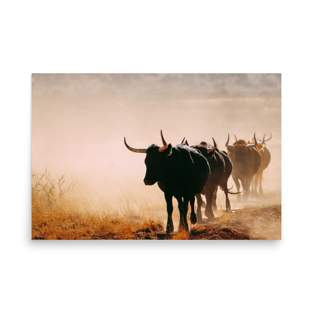 enhanced-matte-paper-poster-(in)-24x36-front-65df9cd695336.png