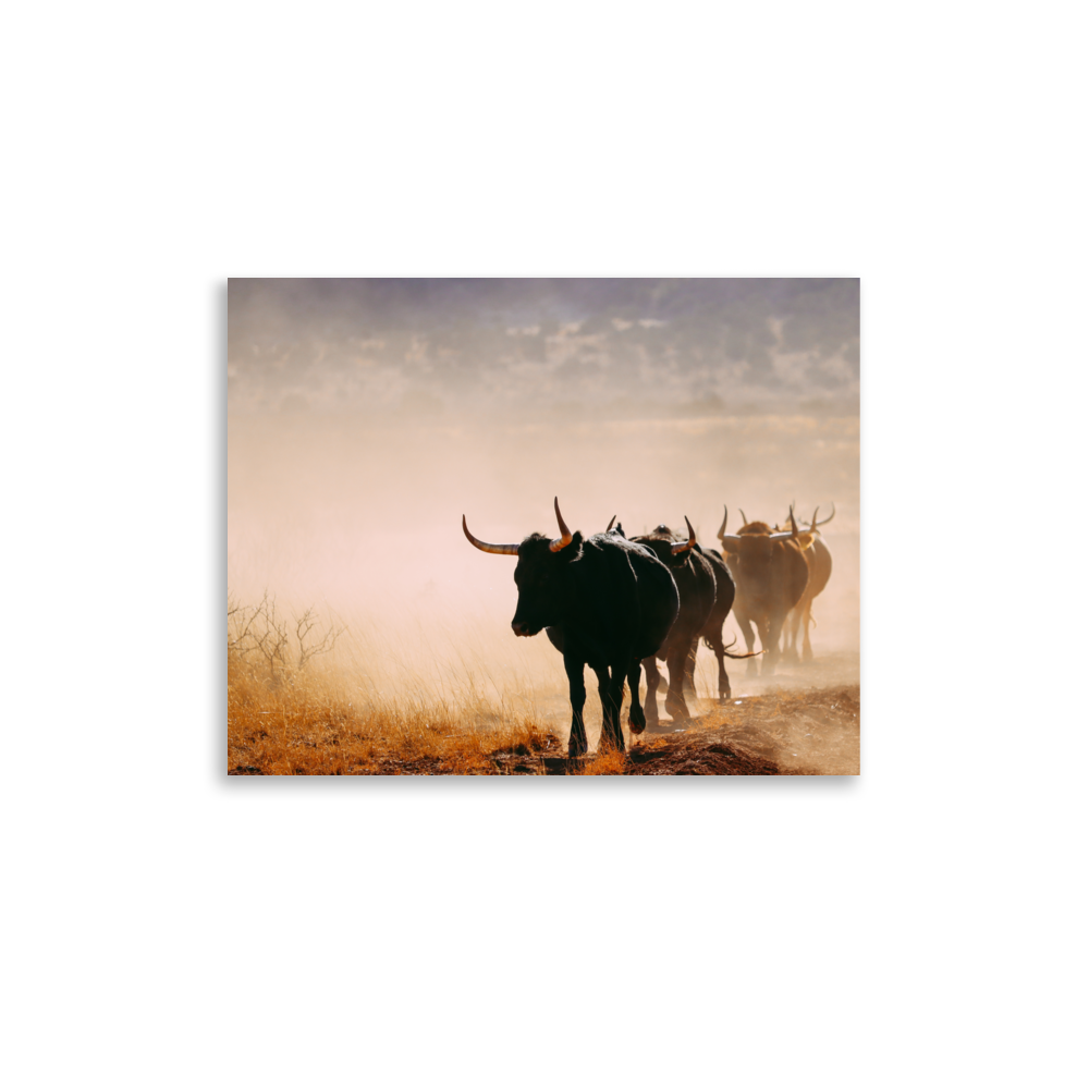 enhanced-matte-paper-poster-(in)-11x14-front-65df9cd69a082.png