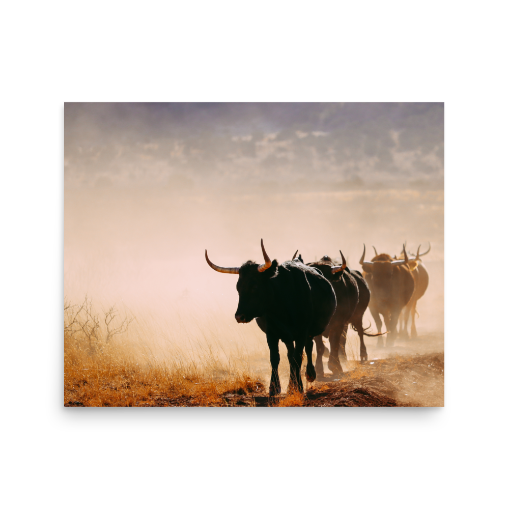 enhanced-matte-paper-poster-(in)-16x20-front-65df9cd69a196.png