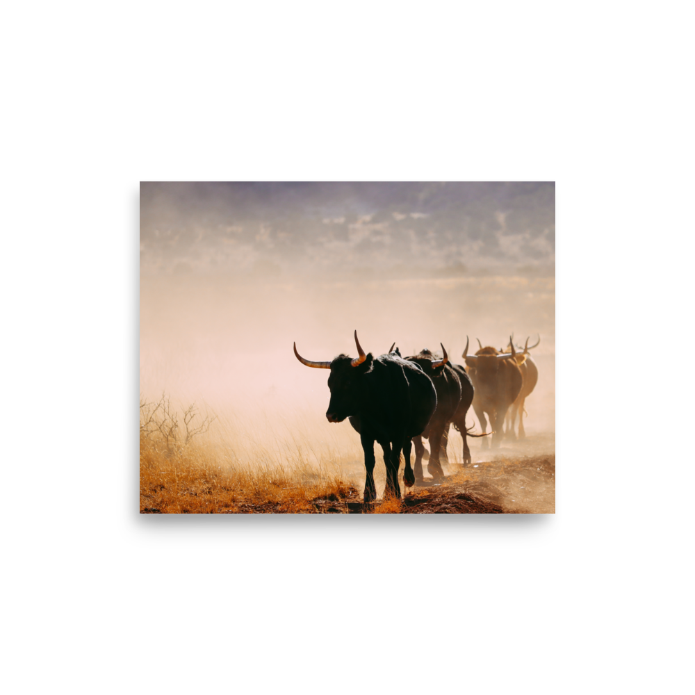 enhanced-matte-paper-poster-(in)-8x10-front-65df9cd69a2c4.png