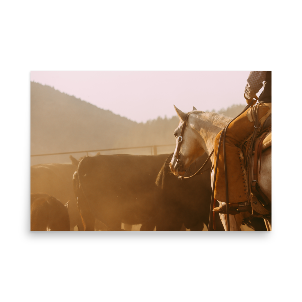enhanced-matte-paper-poster-(in)-24x36-front-65df9d28d919d.png