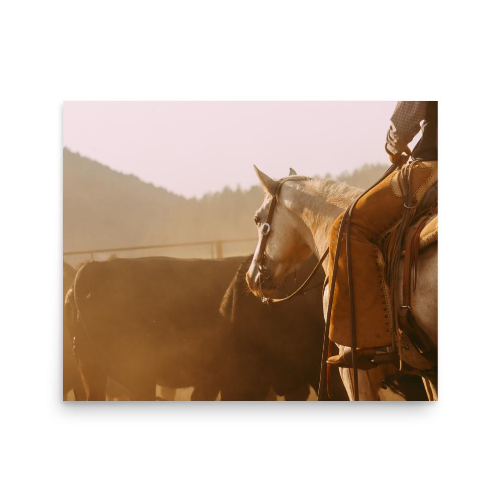 enhanced-matte-paper-poster-(in)-16x20-front-65df9d28dadfd.png