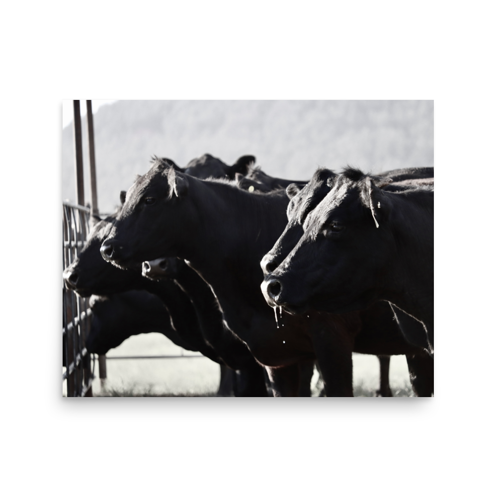 enhanced-matte-paper-poster-(in)-16x20-front-65df9dbdaceaa.png