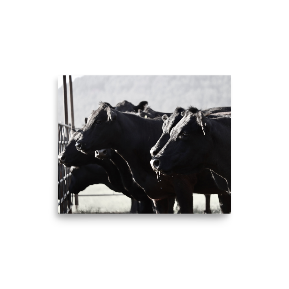 enhanced-matte-paper-poster-(in)-8x10-front-65df9dbdacfea.png