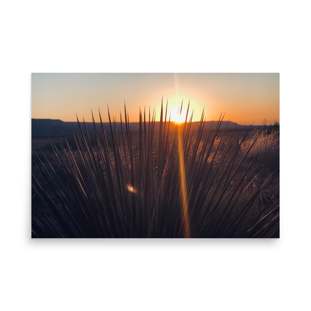 enhanced-matte-paper-poster-(in)-24x36-front-65df9fbabfbfd.png