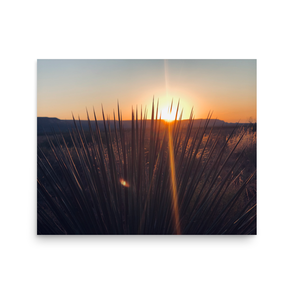 enhanced-matte-paper-poster-(in)-16x20-front-65df9fbac0ddd.png