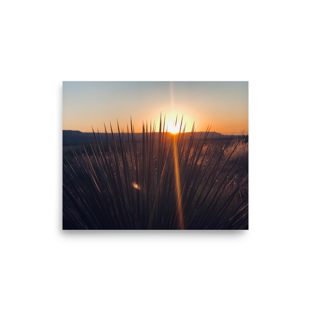 enhanced-matte-paper-poster-(in)-8x10-front-65df9fbac0f20.png