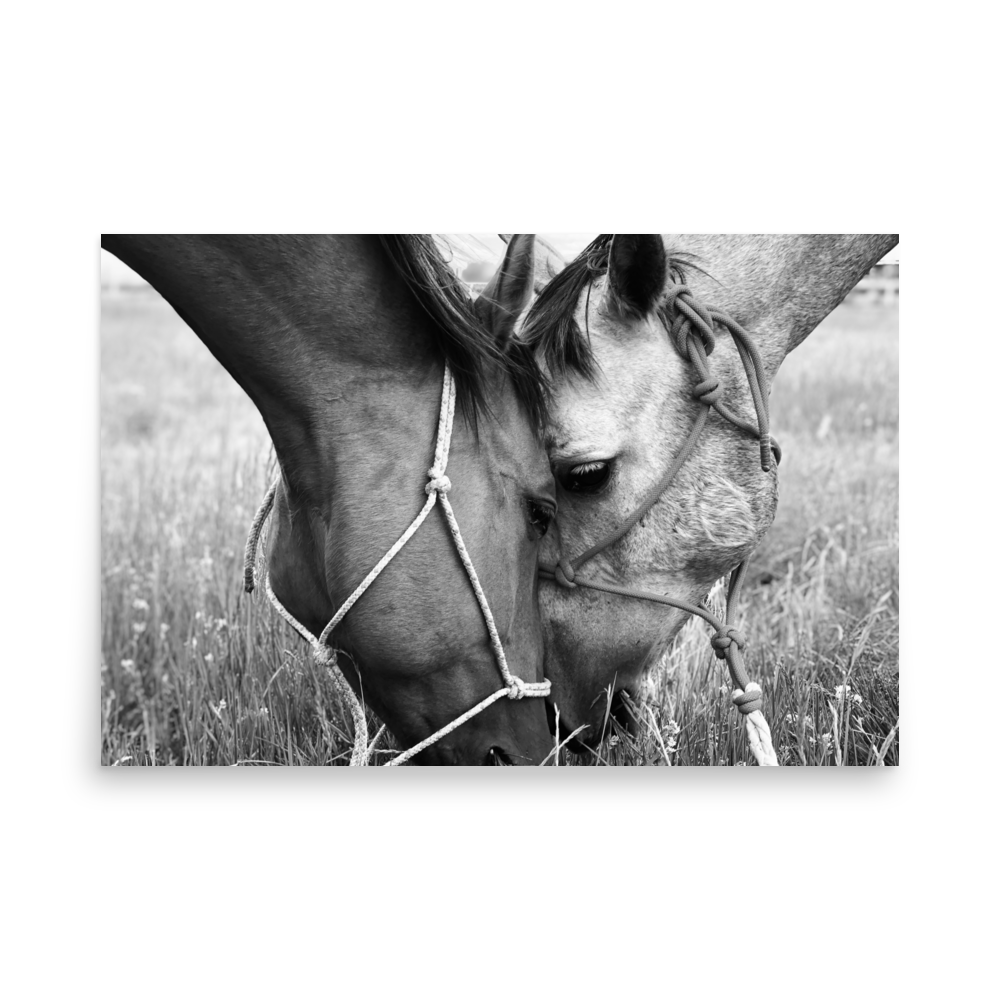 enhanced-matte-paper-poster-(in)-24x36-front-65dfa0141a81a.png