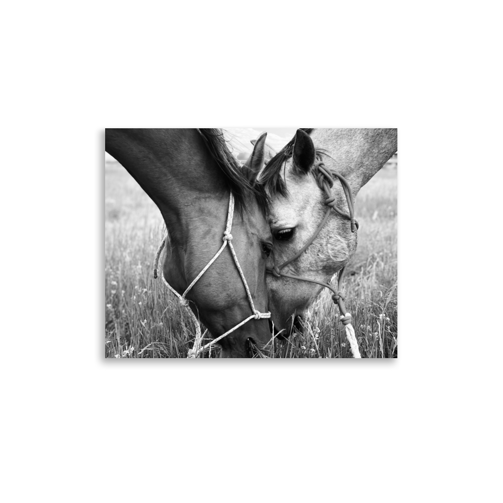 enhanced-matte-paper-poster-(in)-11x14-front-65dfa0141c242.png