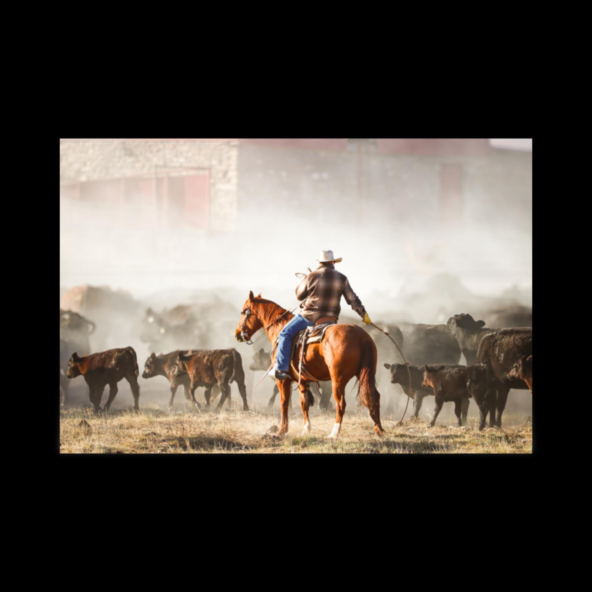 enhanced-matte-paper-poster-(in)-24x36-front-66379f2828e4a.jpg
