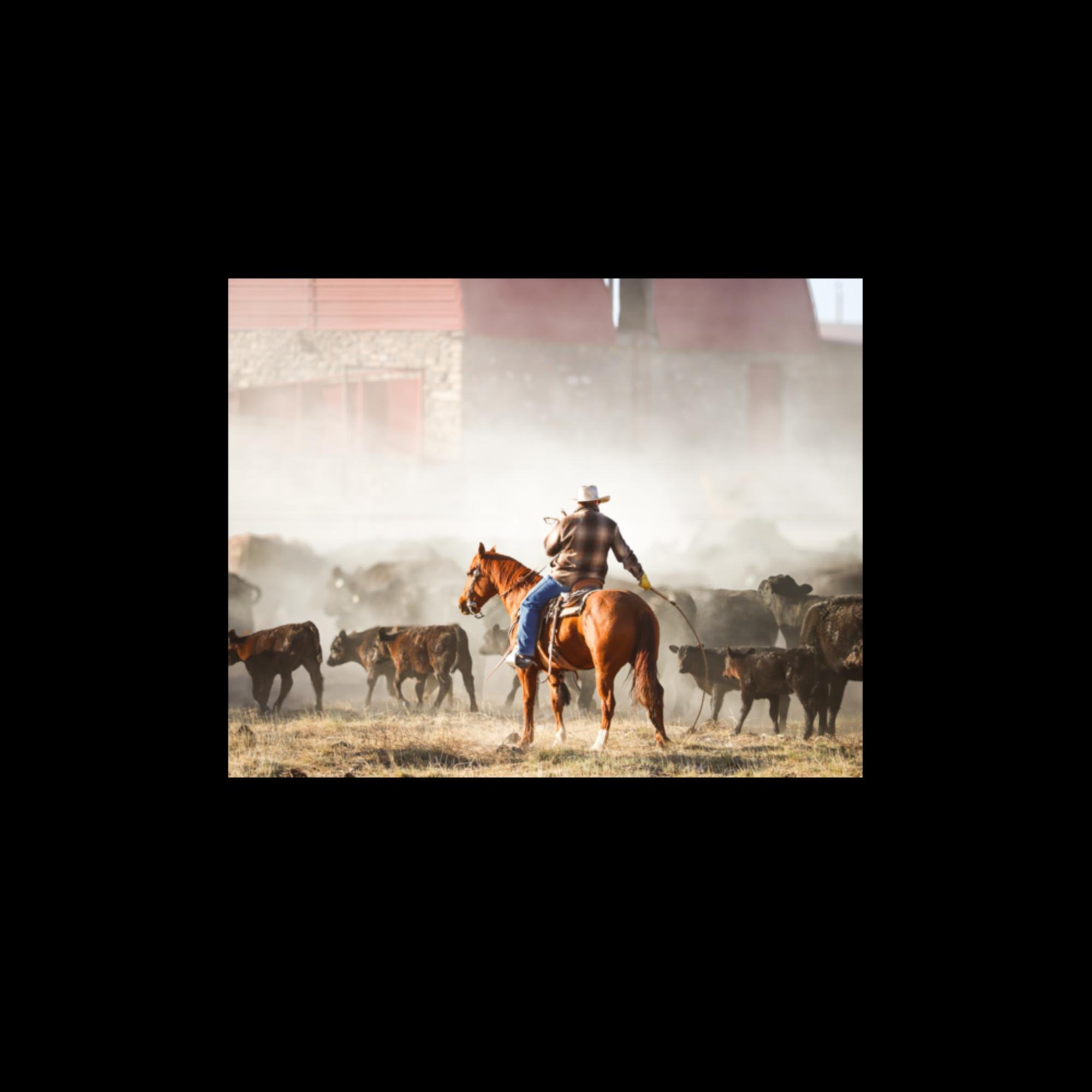 enhanced-matte-paper-poster-(in)-11x14-front-66379f2830dc2.jpg