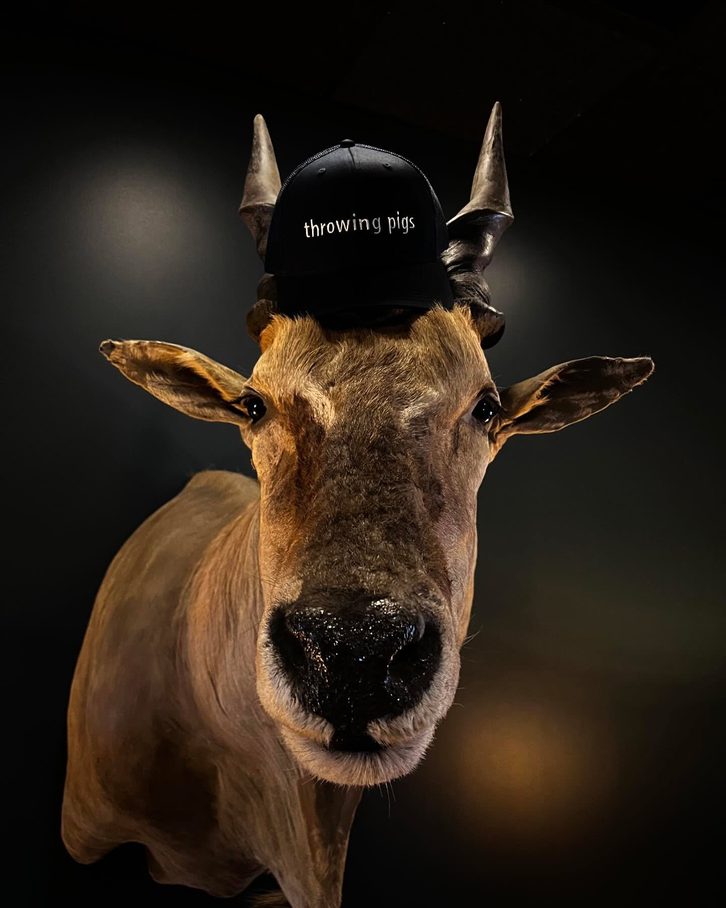 Beautiful time at the @thejackson8541 last night! @neighborhoodsupply has upped our swine swag game immensely. The hats were a hit! ❤️ also thank you to our chief swag officer @jenna_emm!
