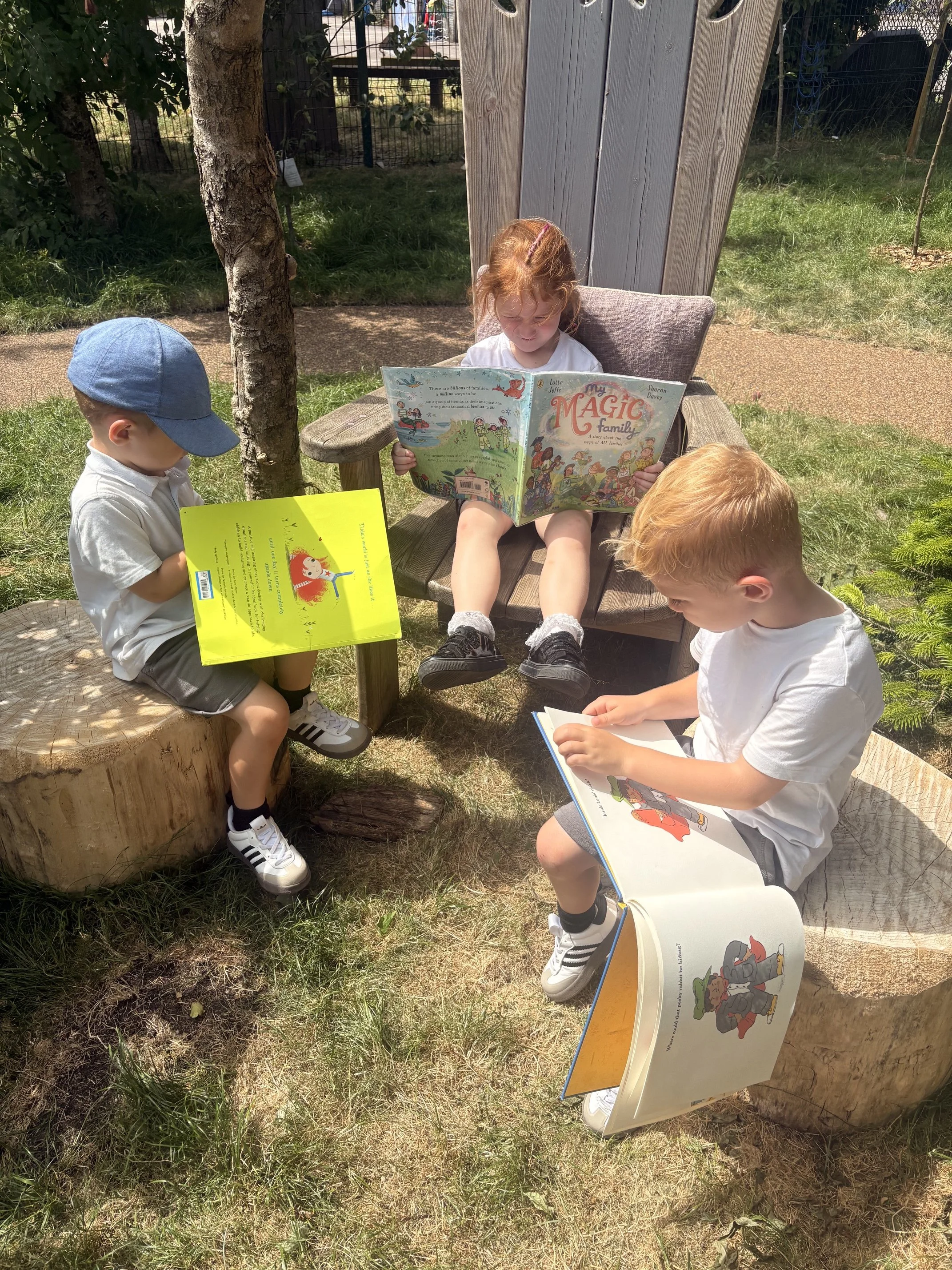 Stories in the Sunshine