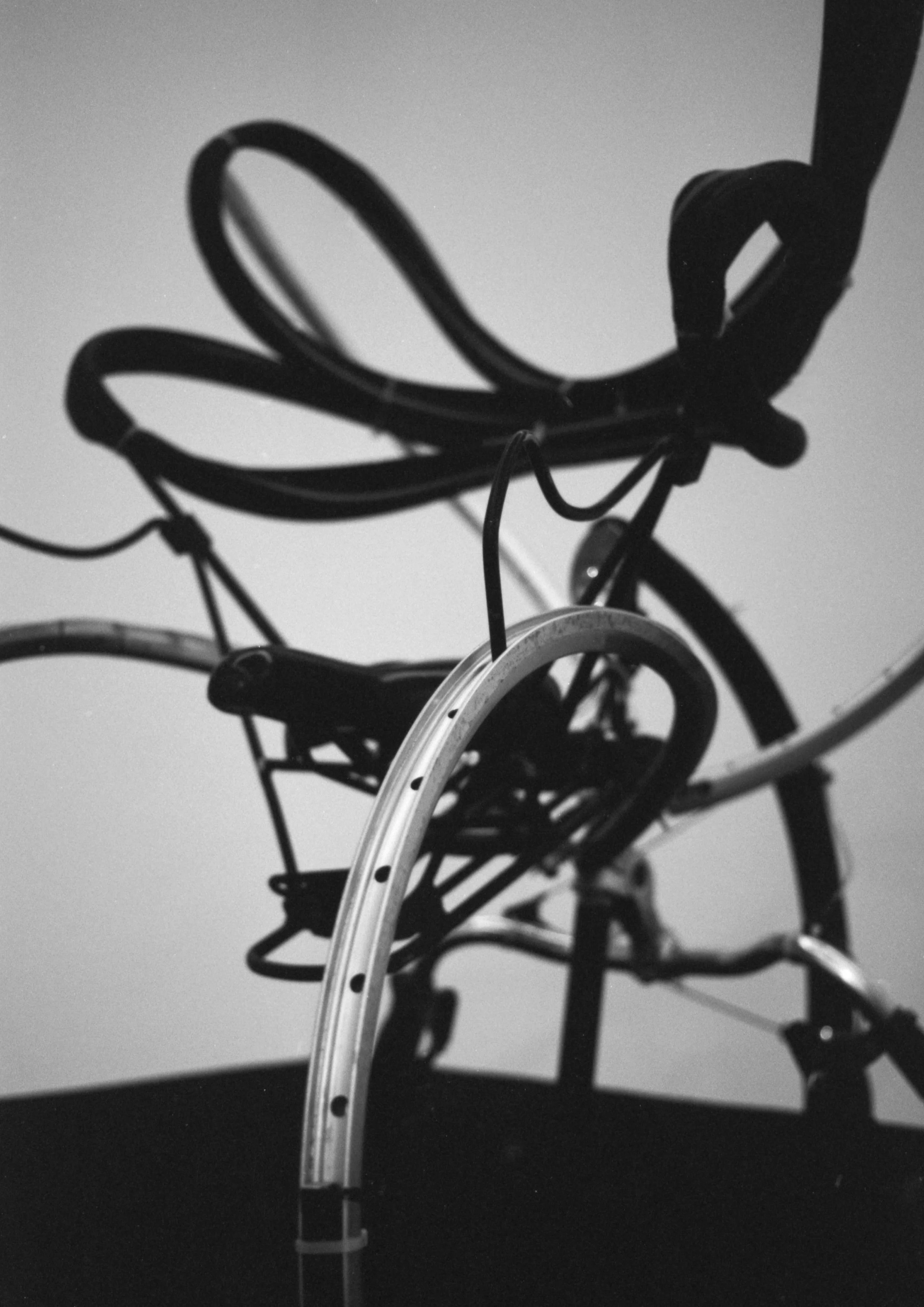 Pictures : Sidonie Ronfard